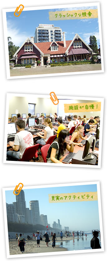 �V���t�X�g���E�J���b�W