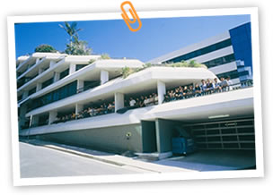 AICOL�e�q���w�v���O����