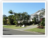 �I�[�X�g�����A�e�q���w